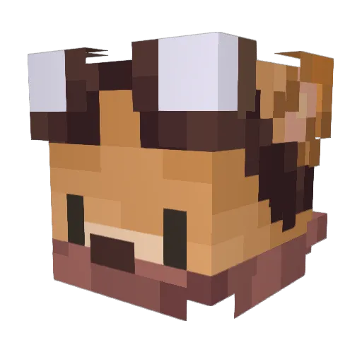 DigitalGamer36 Minecraft avatar head, 3D render
