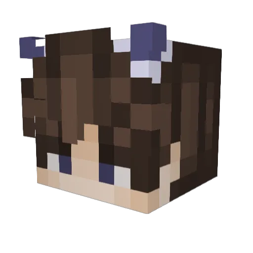 Digital_838 Minecraft avatar head, 3D render