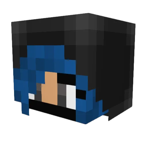 Digitpip Minecraft avatar head, 3D render