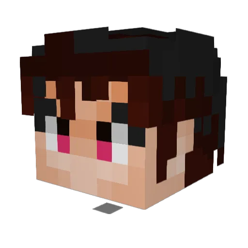 Digizee Minecraft avatar head, 3D render