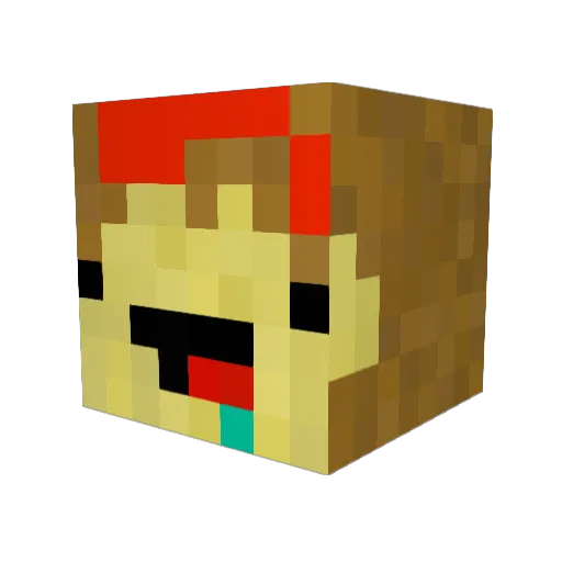 Digles40 Minecraft avatar head, 3D render