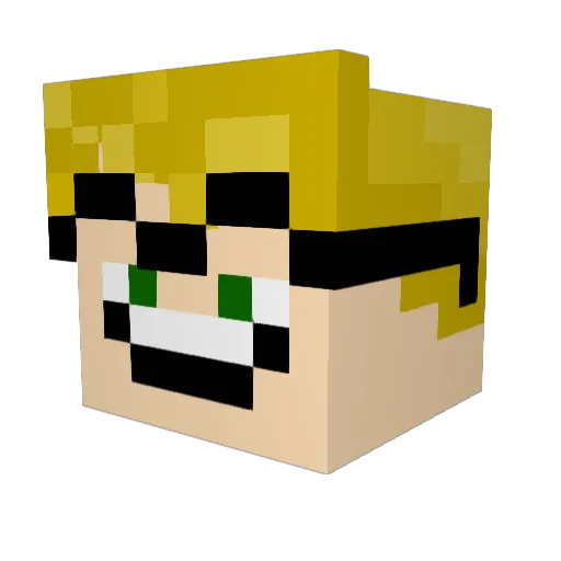 Diglett10 Minecraft avatar head, 3D render