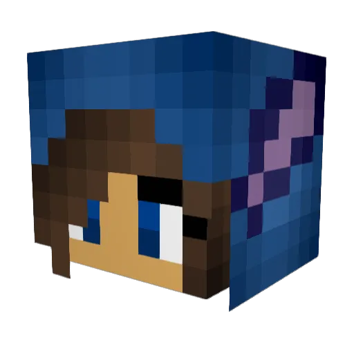 Dignar Minecraft avatar head, 3D render