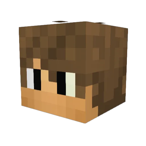 Digo120 Minecraft avatar head, 3D render