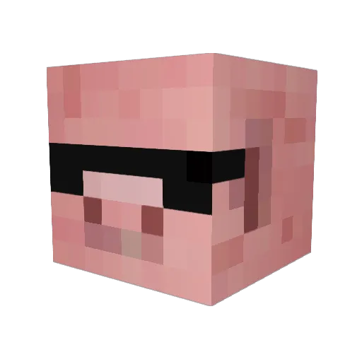 Digs_2012 Minecraft avatar head, 3D render