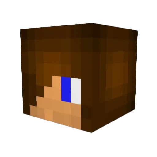 Diiabeetus Minecraft avatar head, 3D render