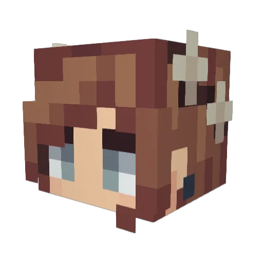 Diidiie92 Minecraft avatar head, 3D render