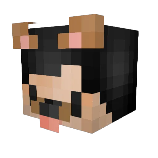 DiihBala22 Minecraft avatar head, 3D render