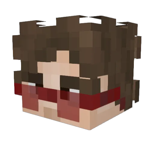 Diiscovery Minecraft avatar head, 3D render