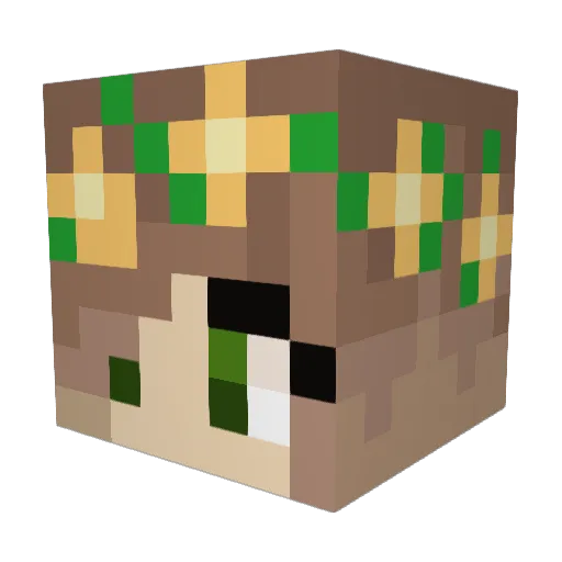 Diiusx3 Minecraft avatar head, 3D render
