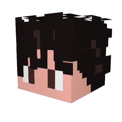 Dijaal Minecraft avatar head, 3D render