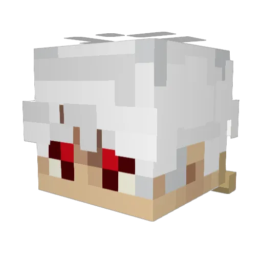 Dik3r Minecraft avatar head, 3D render