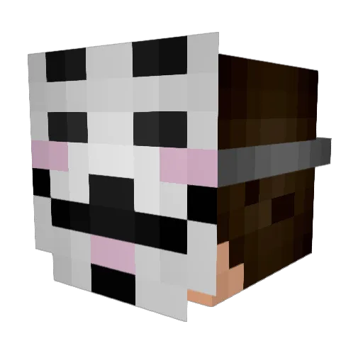 Dikkentrikke Minecraft avatar head, 3D render