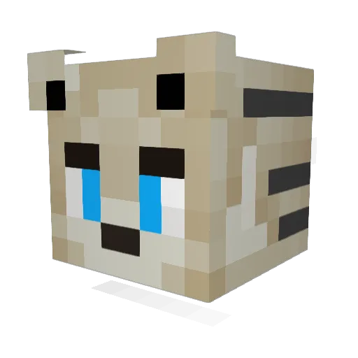 Dikkuh_BMW Minecraft avatar head, 3D render