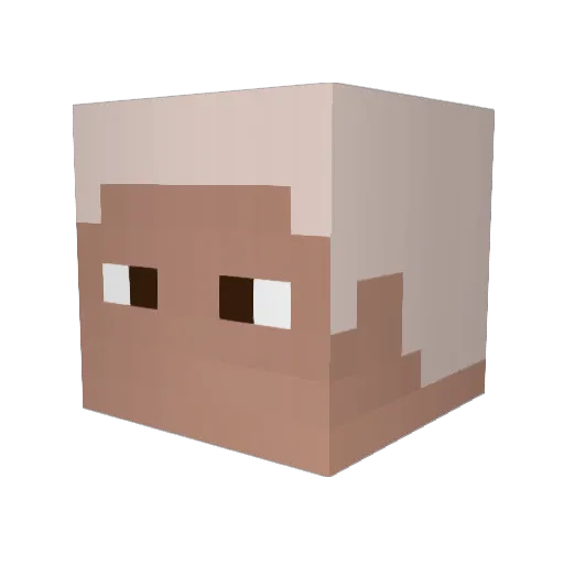 Dikmeister Minecraft avatar head, 3D render
