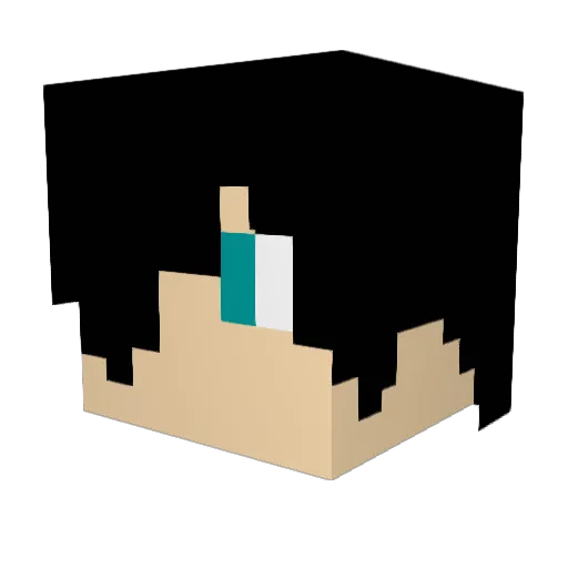 Diksi14 Minecraft avatar head, 3D render