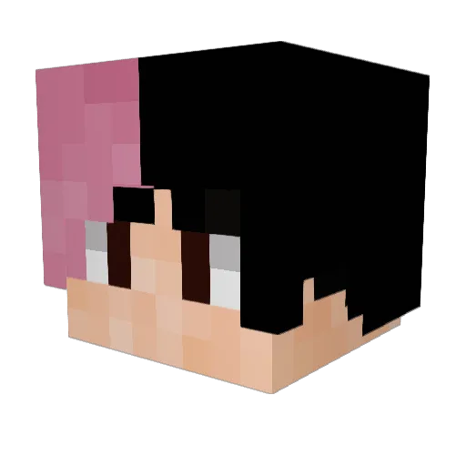 DikwadJR Minecraft avatar head, 3D render