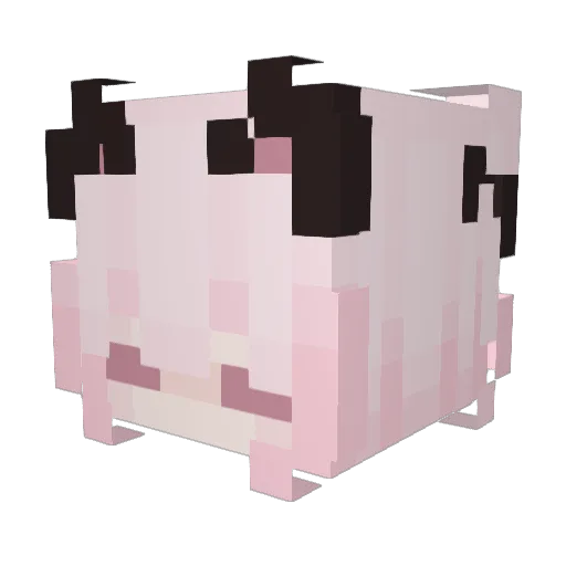 Dikx1 Minecraft avatar head, 3D render