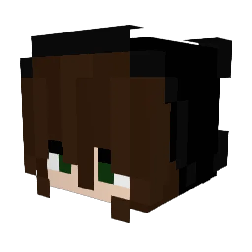 DilPickles18 Minecraft avatar head, 3D render
