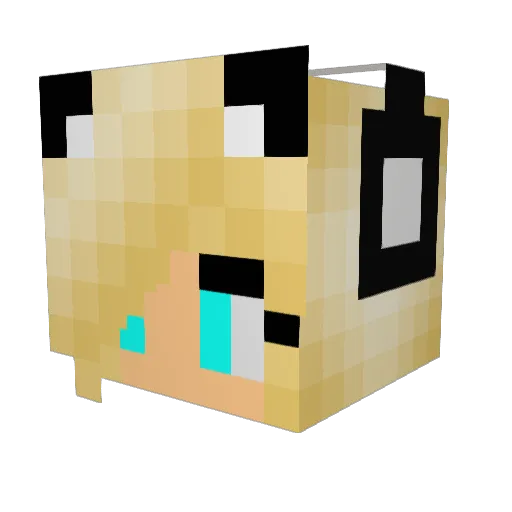Dilan88 Minecraft avatar head, 3D render