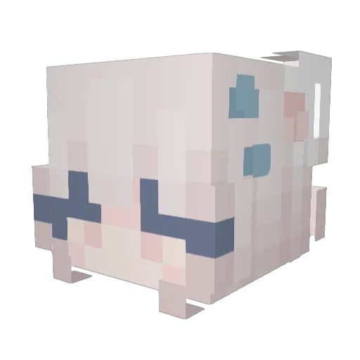 Dilara00 Minecraft avatar head, 3D render