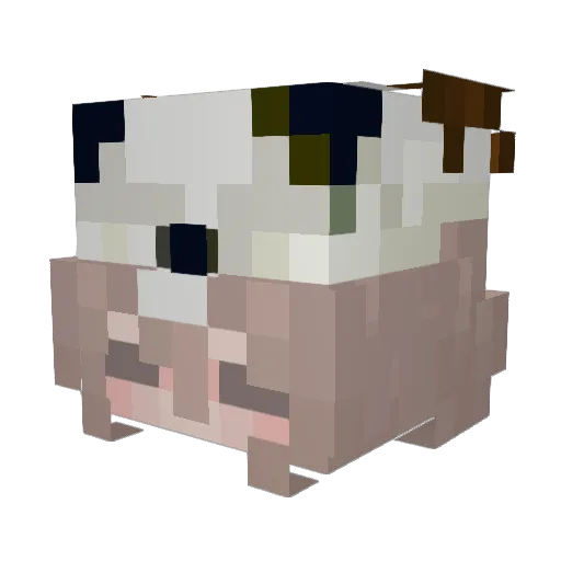 Dilemma5986 Minecraft avatar head, 3D render
