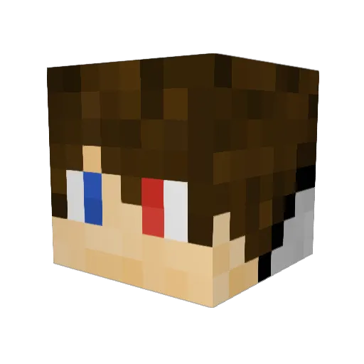 DilemmaNx Minecraft avatar head, 3D render