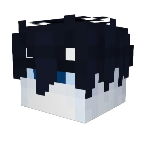 DilemmaSystem Minecraft avatar head, 3D render