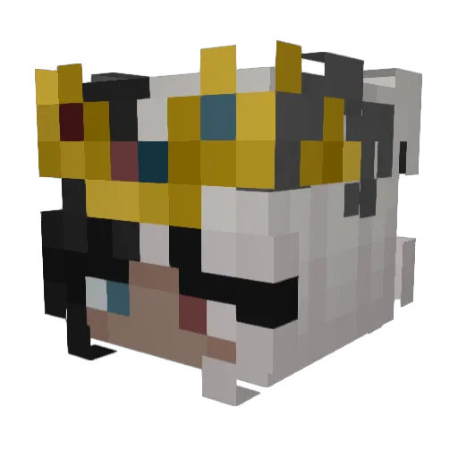 Dilettina11 Minecraft avatar head, 3D render