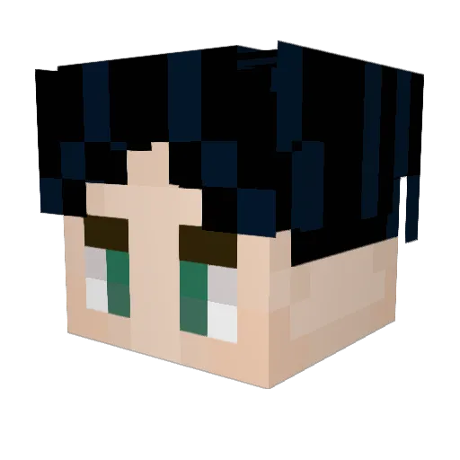 Dilexu Minecraft avatar head, 3D render