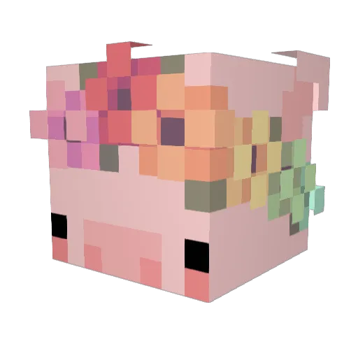 DilfSlayer1 Minecraft avatar head, 3D render