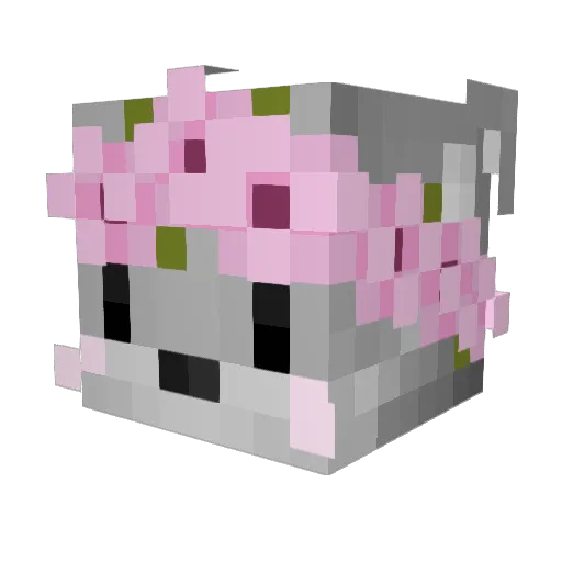 Diligord Minecraft avatar head, 3D render