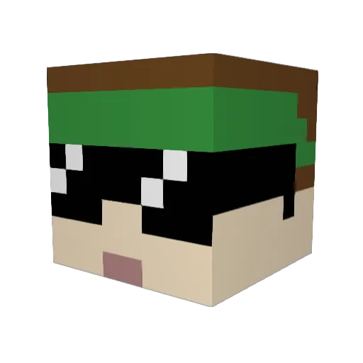 DillWithIt77 Minecraft avatar head, 3D render
