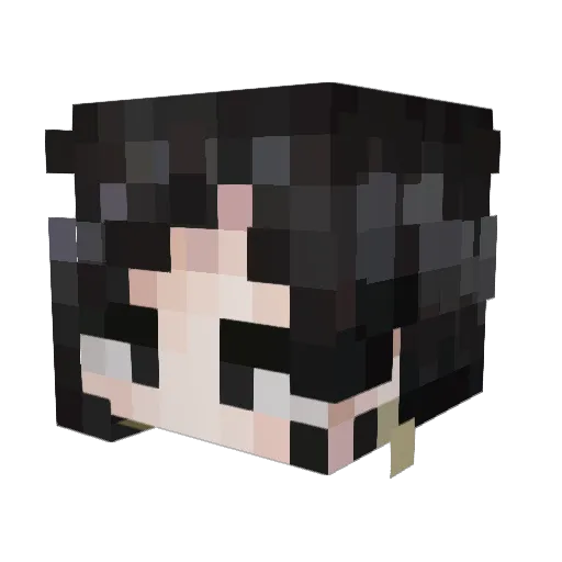 DillanCT Minecraft avatar head, 3D render