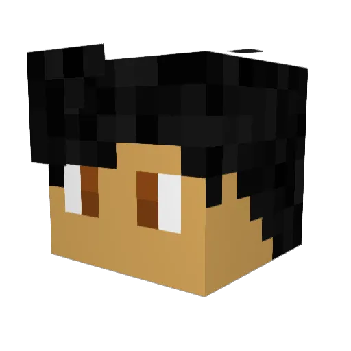 Dillbot07 Minecraft avatar head, 3D render