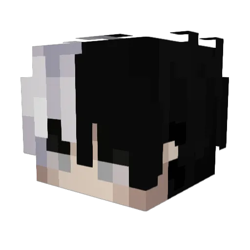 Dilleron3425 Minecraft avatar head, 3D render