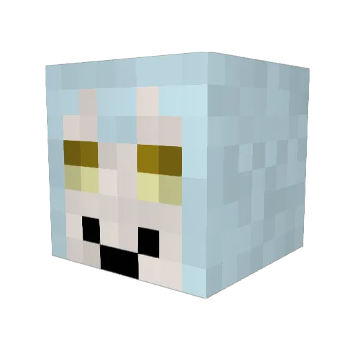 Dilli8504 Minecraft avatar head, 3D render