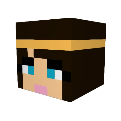 Dillian14868 Minecraft avatar head, 3D render