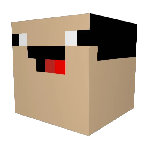 Dillian_Dolphin Minecraft avatar head, 3D render