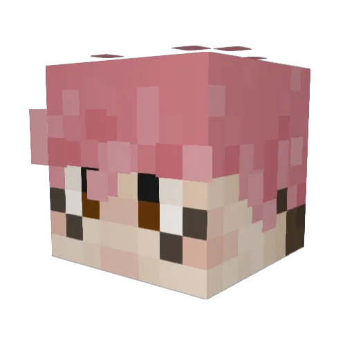 Dillo__ Minecraft avatar head, 3D render