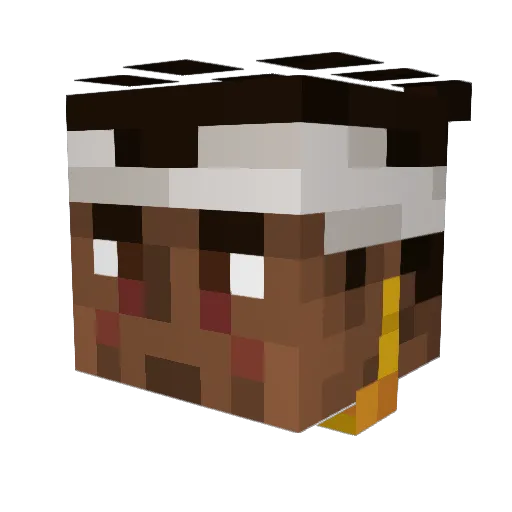 Dilloin Minecraft avatar head, 3D render