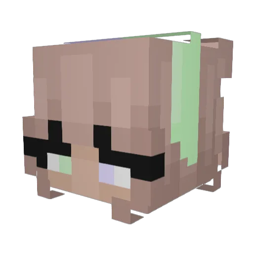 Dillon_29 Minecraft avatar head, 3D render