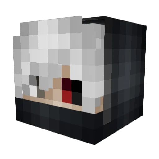 Dillpickle1905 Minecraft avatar head, 3D render