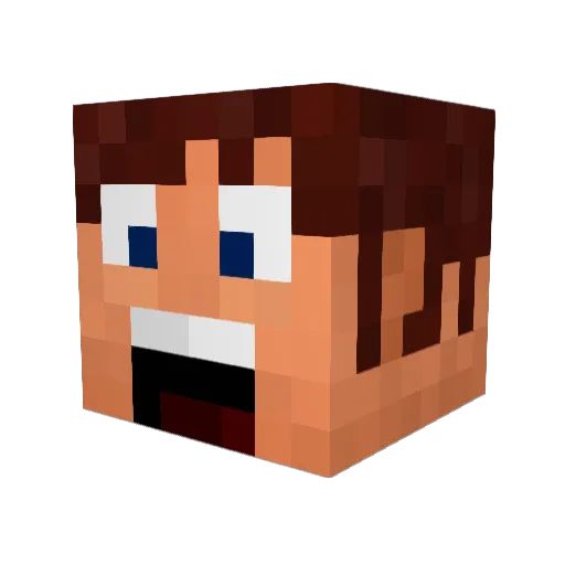 Dillpickle23 Minecraft avatar head, 3D render
