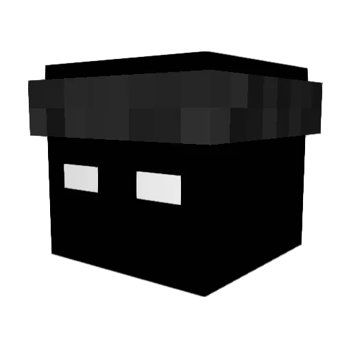 Dillwill6789 Minecraft avatar head, 3D render