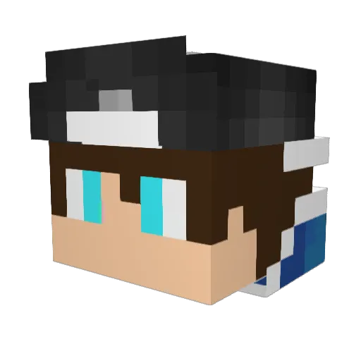 DillyZ_ Minecraft avatar head, 3D render