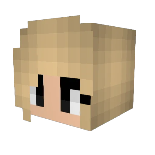 Dillyz16 Minecraft avatar head, 3D render