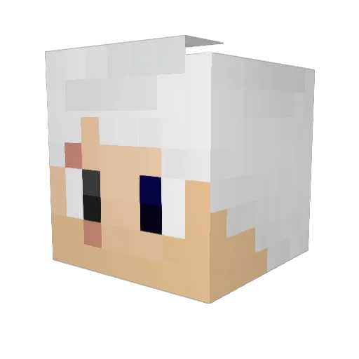 Dillz Minecraft avatar head, 3D render