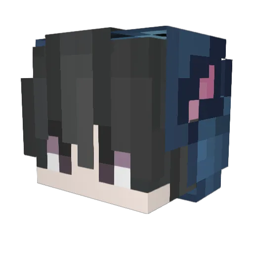 Dilon04 Minecraft avatar head, 3D render