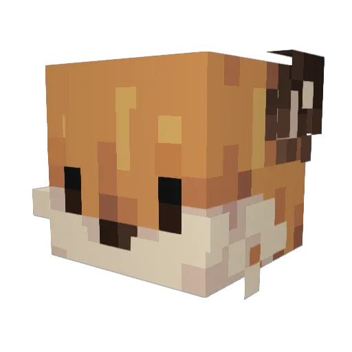DilophoSam Minecraft avatar head, 3D render